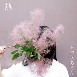熱