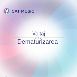 Dematurizarea