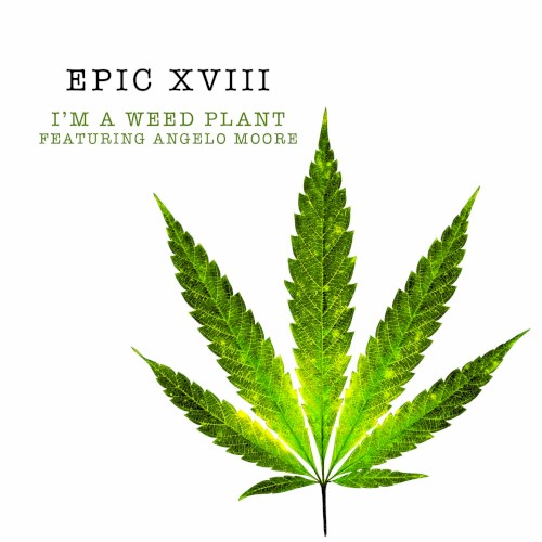 I'm a Weed Plant