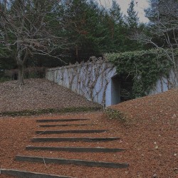 two steps too late