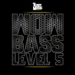 Wow Bass Level 5