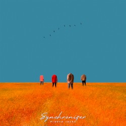 Synchronizer