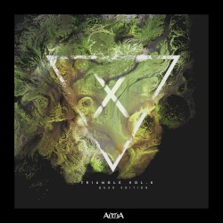 Triangle, Vol. X