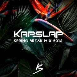 Spring Break Mix 2016