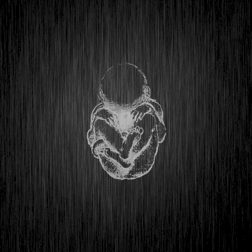 In the Heart of a Dying Machine