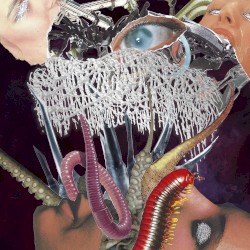 Face Ripped Off
