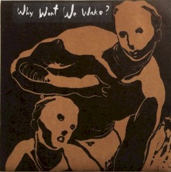 Why Won't We Wake ?
