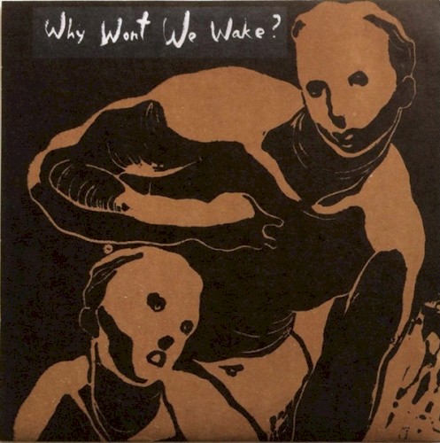 Why Won't We Wake ?