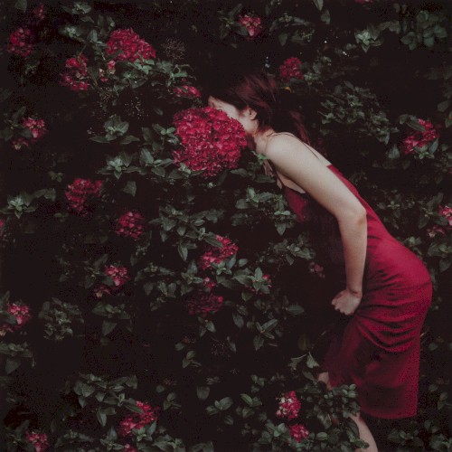 Unbloom