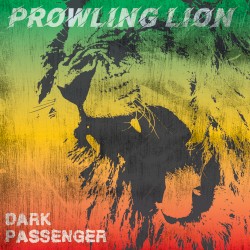 Prowling Lion