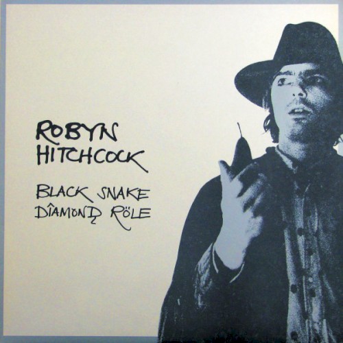 Black Snake Dîamonḑ Röle