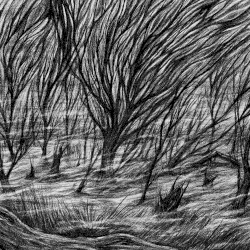 The Eternal Marshes