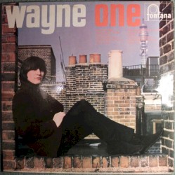 Wayne One