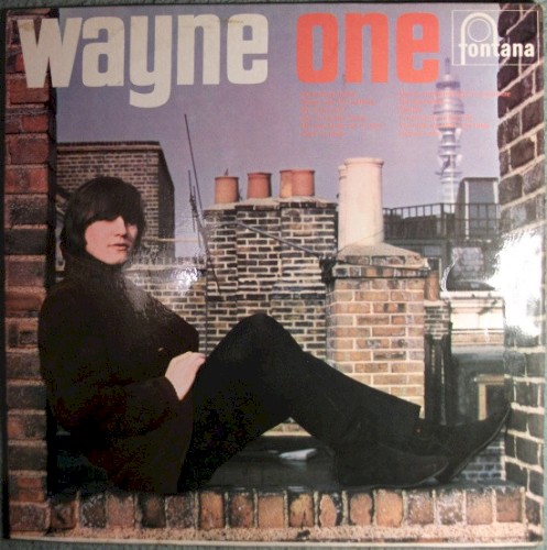 Wayne One