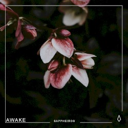 Awake