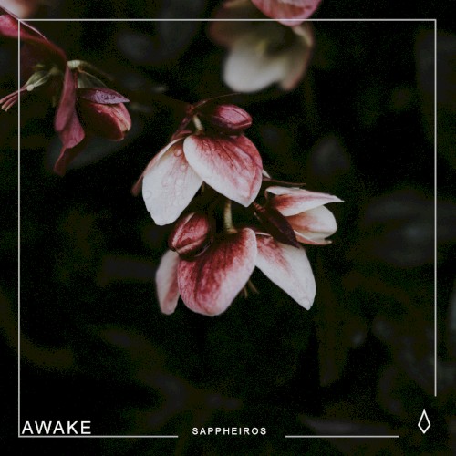 Awake