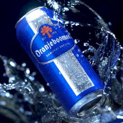 Oranjeboomed