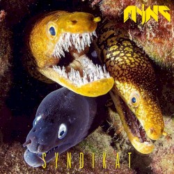 Syndikat