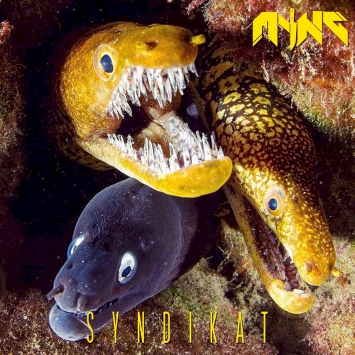 Syndikat