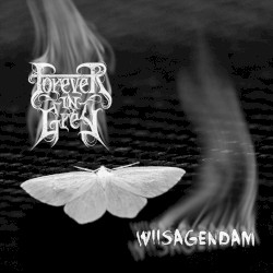 Wiisagendam