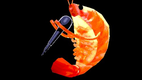 shrimp song