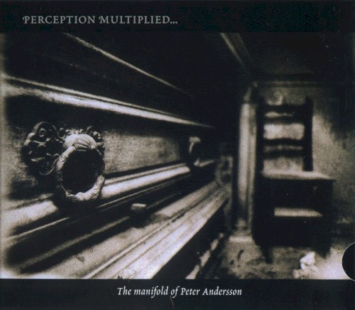 Perception Multiplied, Multiplicity Unified: The Manifold of Peter Andersson