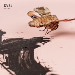 Fabric 96: DVS1