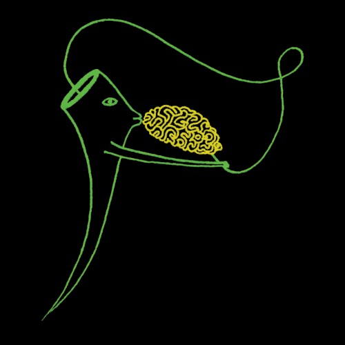 Kiss the Brain