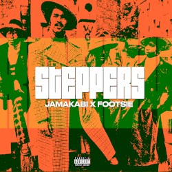 STEPPERS