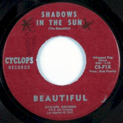 Shadows in the Sun