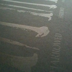 S/T DEMO