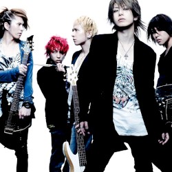 ANSWER