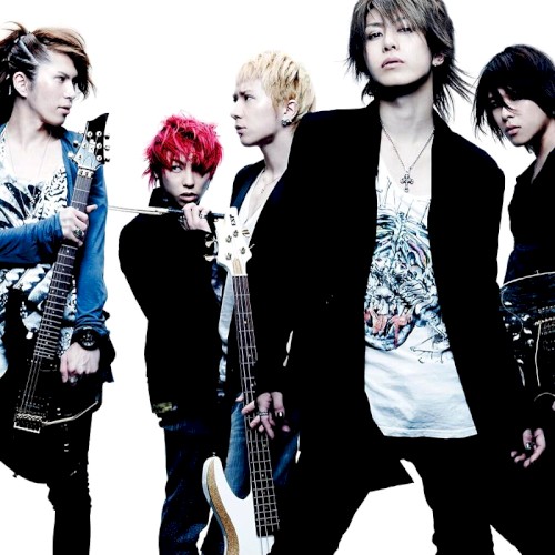 ANSWER