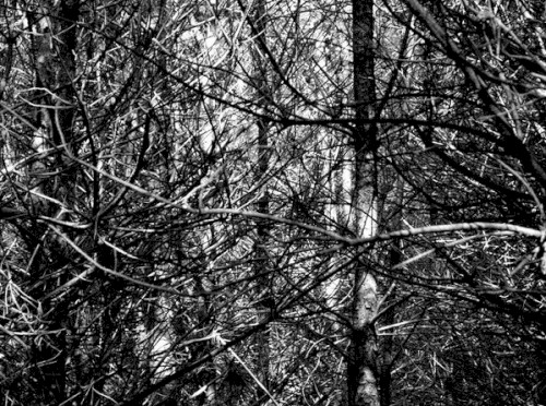 Ashtoreth: Channeling My Triumph/Requiem