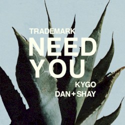 Need You (Kygo X Dan + Shay)