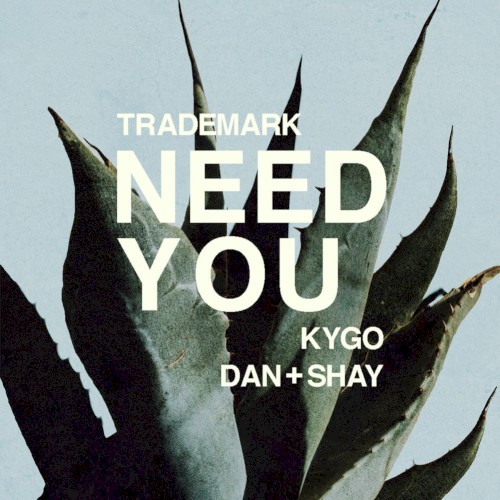 Need You (Kygo X Dan + Shay)