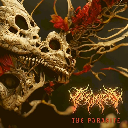 The Parasite