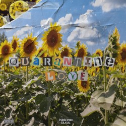 Quarantine Love