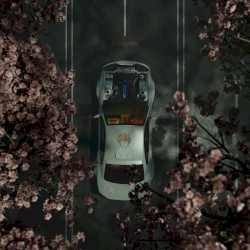 Blossom