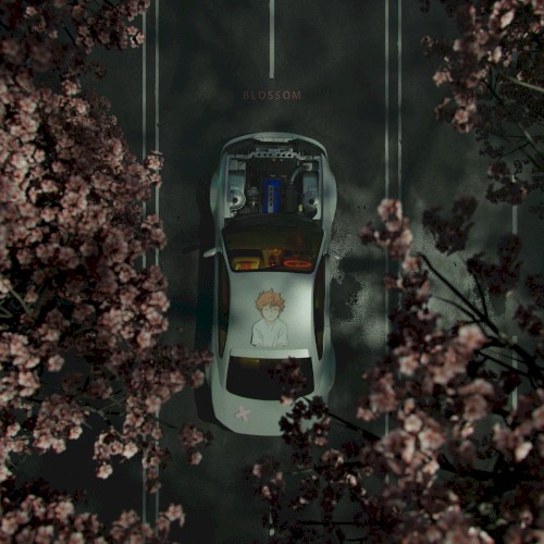Blossom