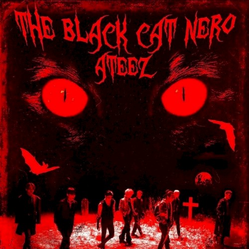 THE BLACK CAT NERO