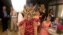 Birds of Paradise