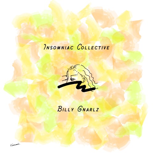 The Insomniac Collective // Billy Gnarlz Split