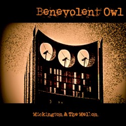 Benevolent Owl