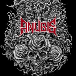 Ashes