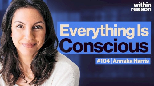 Within Reason #104, “Is Consciousness Fundamental?”