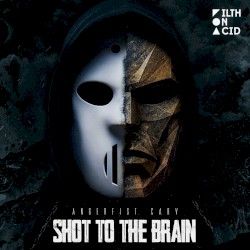 Shot to the Brain