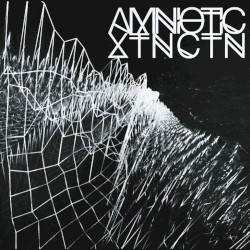 XTNCTN