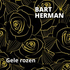 Gele rozen