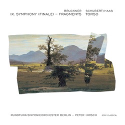 Bruckner: IX. Symphony (Finale) Fragments / Schubert/Haas: Torso